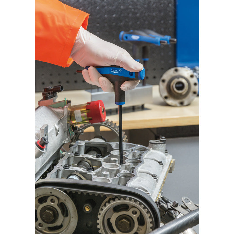 Draper Expert Soft Grip T Handle Hex Key Set